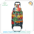 Vegetable Shopping Trolley Bag Hq-4006c